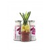 SmoothieDog Paard / Sensitivo