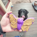 Sodapup Butterfly Nylon Chew Toy